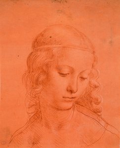 Hoofd van een meisje door Leonardo da school of Vinci